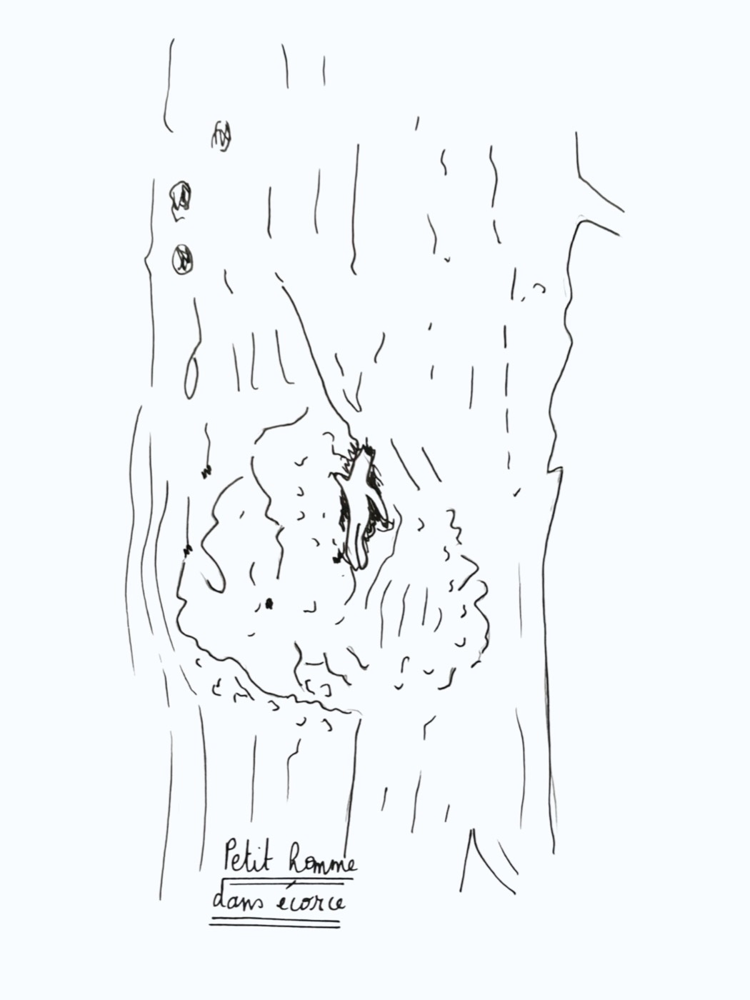 Dessin préparatoire Petit homme dans écorce