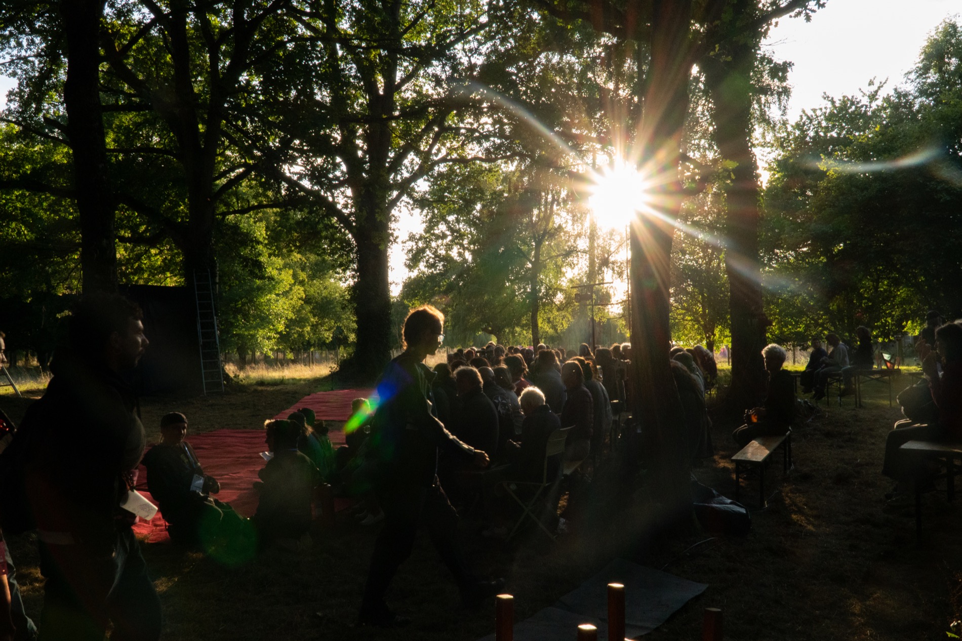 Public en forêt pour Le Songe d’une nuit d’été