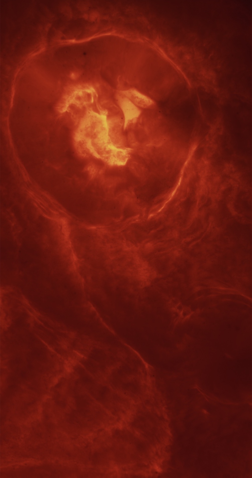 Signal solaire rouge et orangé présenté verticalement